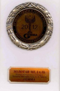 Медаль на отборочном этапе